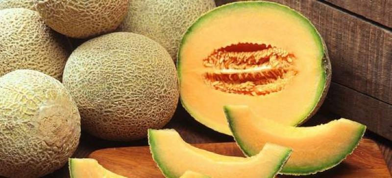 GANDULES: PROYECTO DE PRODUCCIÓN DE MELONES ESTÁ PARALIZADO