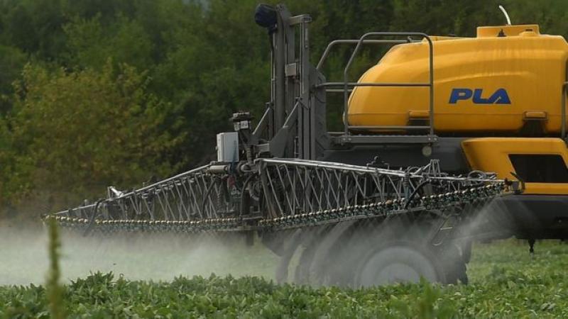 Glifosato: un jurado de EE.UU. determinó que el herbicida más usado en el mundo fue un “factor sustancial” en un caso de cáncer