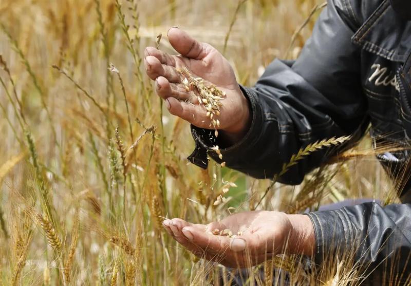 Gobierno de España presenta a los agricultores un plan de 43 medidas para salir de la crisis