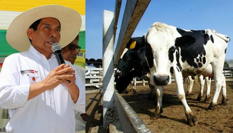 Gobierno decidirá esta semana sobre autógrafa que prohíbe uso de leche en polvo