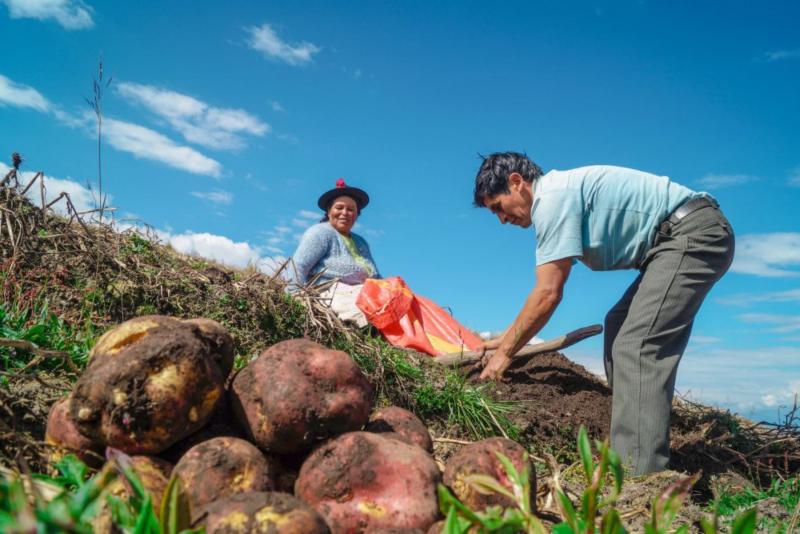 Gobierno otorgará bono a agricultores para enfrentar sequía a nivel nacional