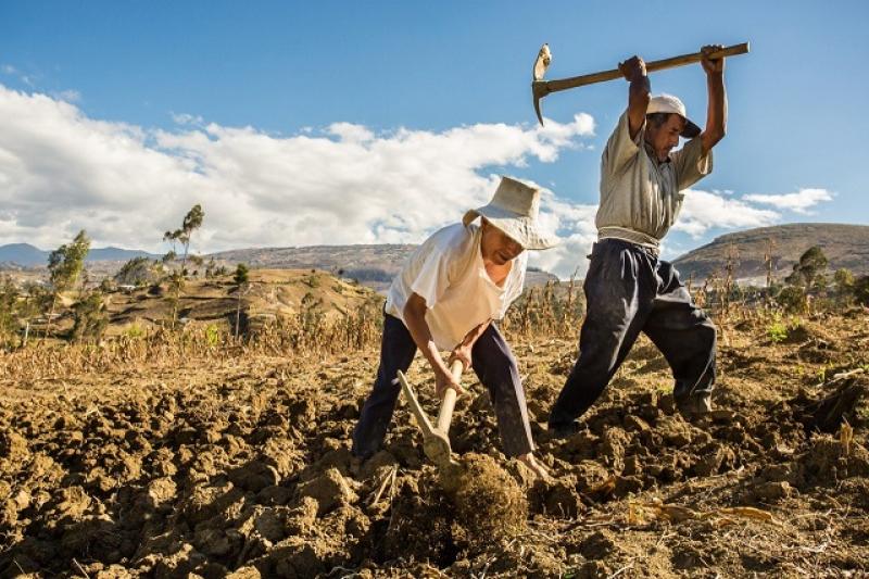 Gobiernos regionales y locales cuentan con un presupuesto de S/ 2.000 millones para inversión de Procompite en agro