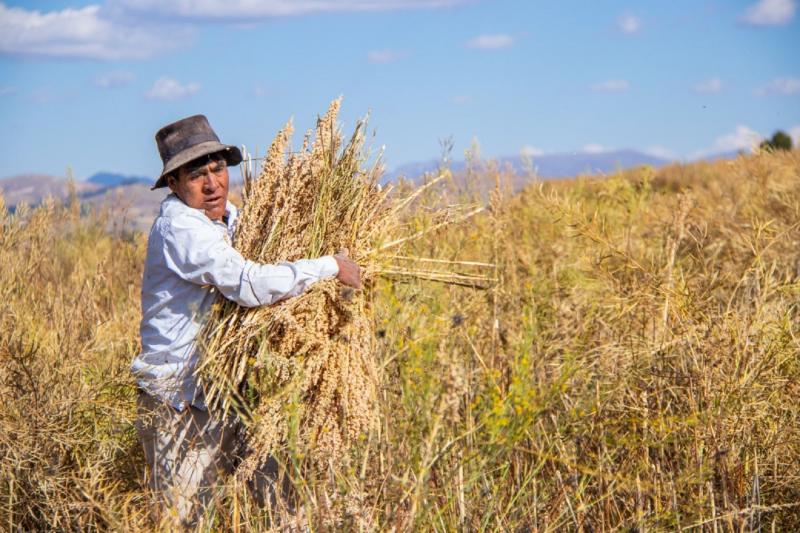 Gore Junín aprueba lineamientos de política regional de la revolución agraria