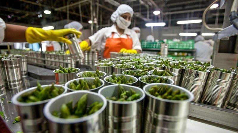 Grandes empresas agropecuarias reciben millones en créditos del programa Reactiva Perú