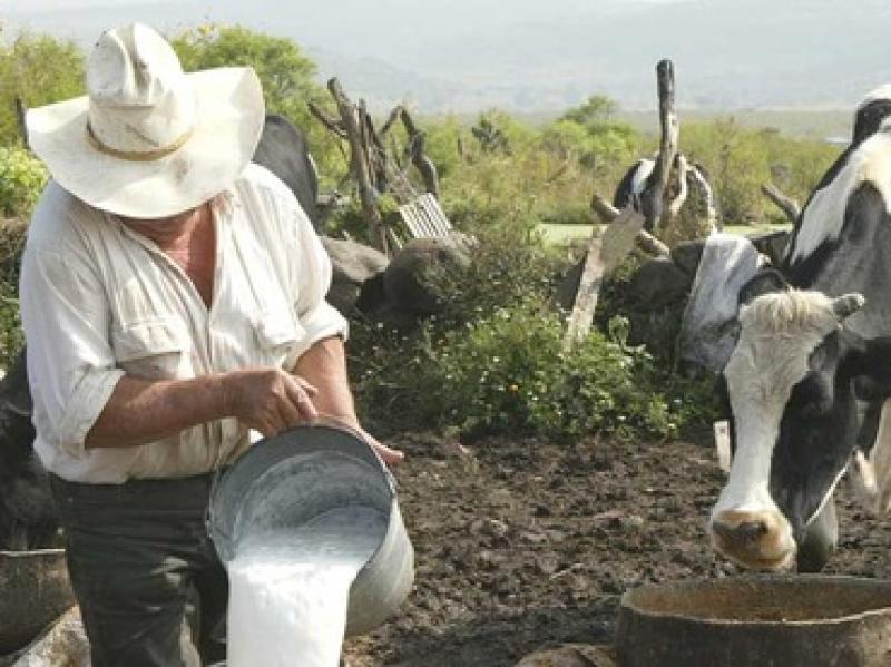 Gremios ganaderos solicitan creación de un Consejo Nacional de Reactivación del Agro