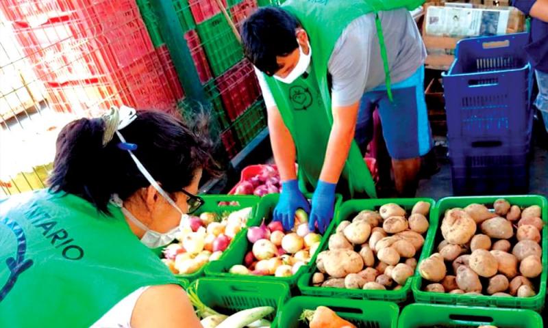 Hacia una cruzada nacional contra el hambre, con orden, dirección y unidad