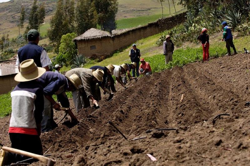 HASTA EN UN 60% AUMENTARON ACCIDENTES LABORALES EN AGRO