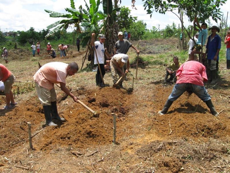 HECTÁREAS AGRÍCOLAS DISMINUYERON 7,6%