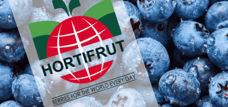 Hortifrut duplica su EBITDA en primer trimestre del 2021