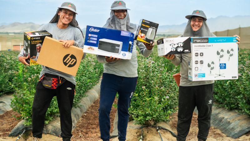 Hortifrut Perú benefició a trabajadores del agro con más de 166,000 canjes de productos a través de Club de Campeones