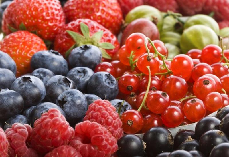 Hortifrut registra ganancias acumuladas por US$ 38.3 millones de enero a septiembre de 2020