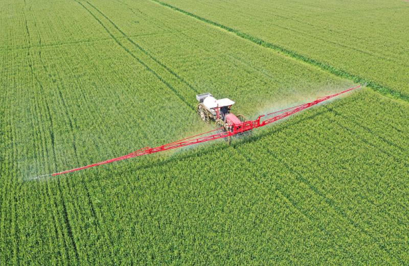 Hoy en día los agricultores pueden aplicar 10 veces menos plaguicidas por hectárea que hace 60 años