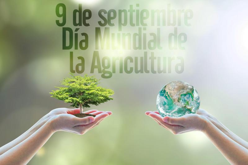 Hoy se celebra el Día Mundial de la Agricultura