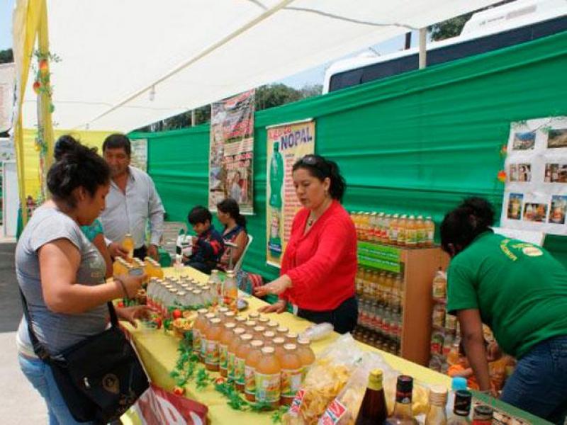 HOY SE INICIA GRAN FERIA DE LA AGRICULTURA FAMILIAR