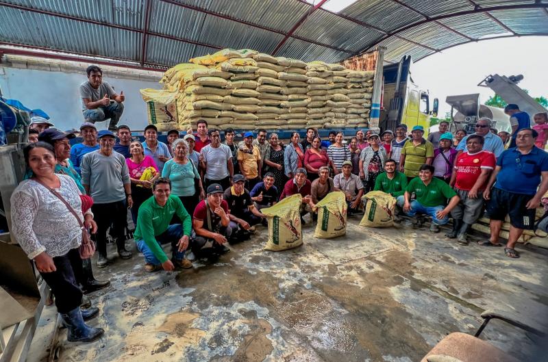 Huánuco: Cacao genera ingresos por S/ 51.594.246 en el Alto Huallaga