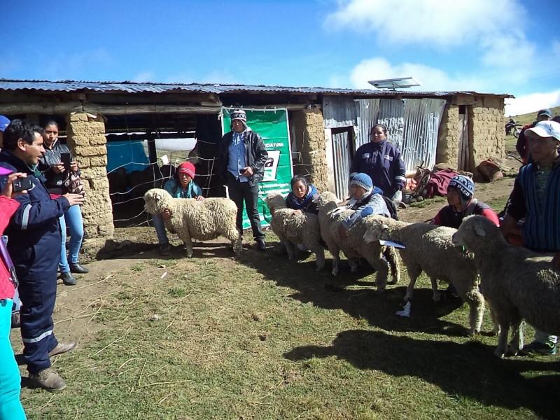 HUARAL: PRODUCTORES SON CAPACITADOS EN MANEJO RESPONSABLE DE ENVASES AGROQUÍMICOS