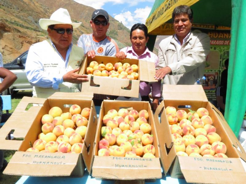 II FESTIVAL DEL MELOCOTÓN EN RAQUIA FUE TODO UN ÉXITO