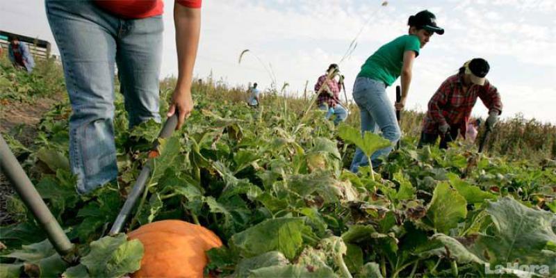 IICA capacitó a más de 14.600 personas vinculadas a la agricultura y fortaleció 14 cadenas productivas en 10 países