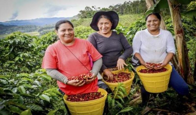 IICA lanza foro virtual para promover el empoderamiento de las mujeres rurales