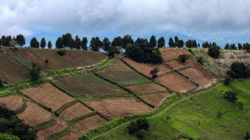 IICA organiza segundo foro: recarbonización de los suelos agrícolas