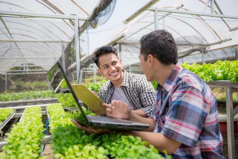 IICA y Syngenta buscan en la ciencia las soluciones a los desafíos de la agricultura