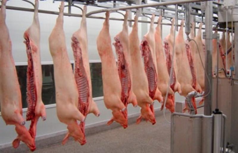 IMPORTACIÓN DE CARNE DE CERDO AUMENTÓ 87.2% EN EL PERIODO ENERO-SETIEMBRE