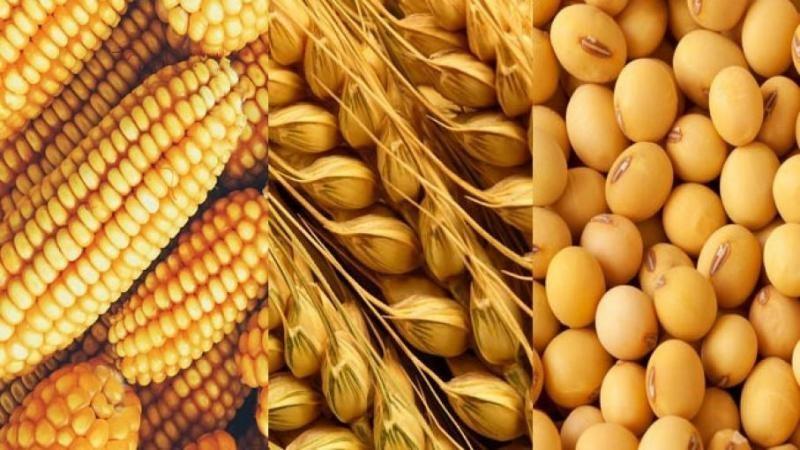 Importaciones agropecuarias alcanzan los US$ 1.670 millones, entre enero y marzo