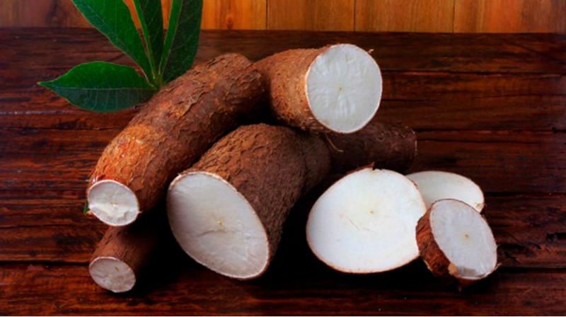 Importante incremento en la exportación peruana de yuca: suma US$ 2.3 millones entre enero y octubre