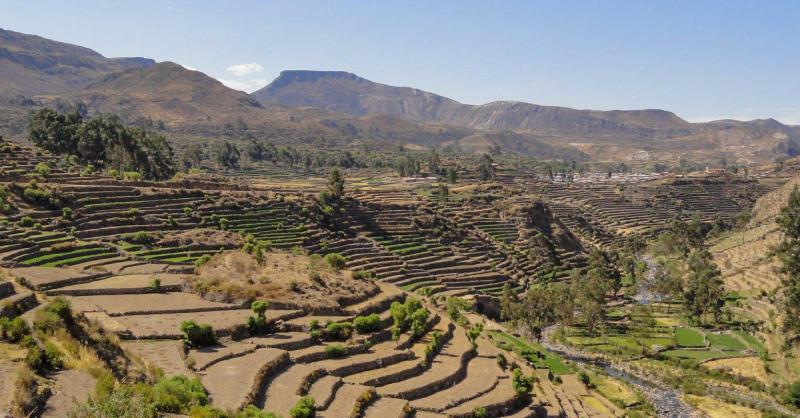 Impulsan la rehabilitación de andenes como eje estratégico para el desarrollo rural sostenible