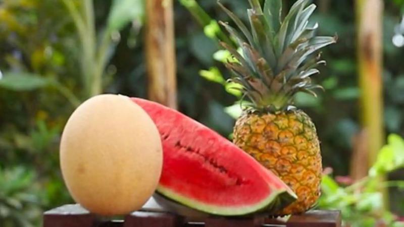 Impulsan normas técnicas para la producción y comercialización de frutas de verano