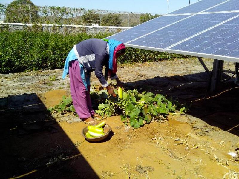 IMPULSAN SISTEMA DE RIEGO TECNIFICADO CON ENERGÍA SOLAR Y EÓLICA EN ANCASH