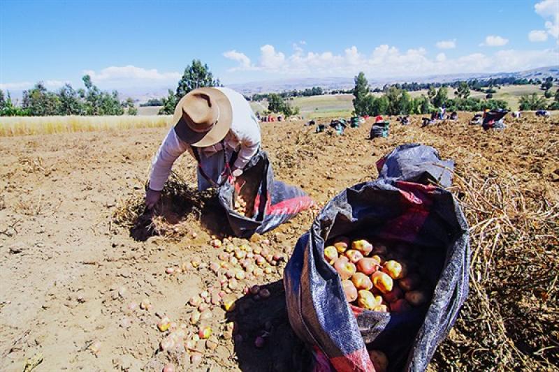 Impulso al agro mediante plan Unidos es un acierto