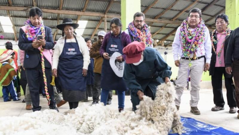 Inauguran moderno centro de esquila para impulsar la producción de fibra de alpaca en Puno