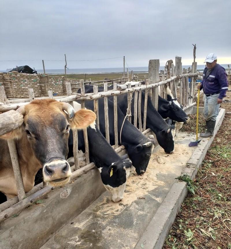Incremento importante en precio de Maíz y Soya afectara a la actividad pecuaria en los siguientes meses