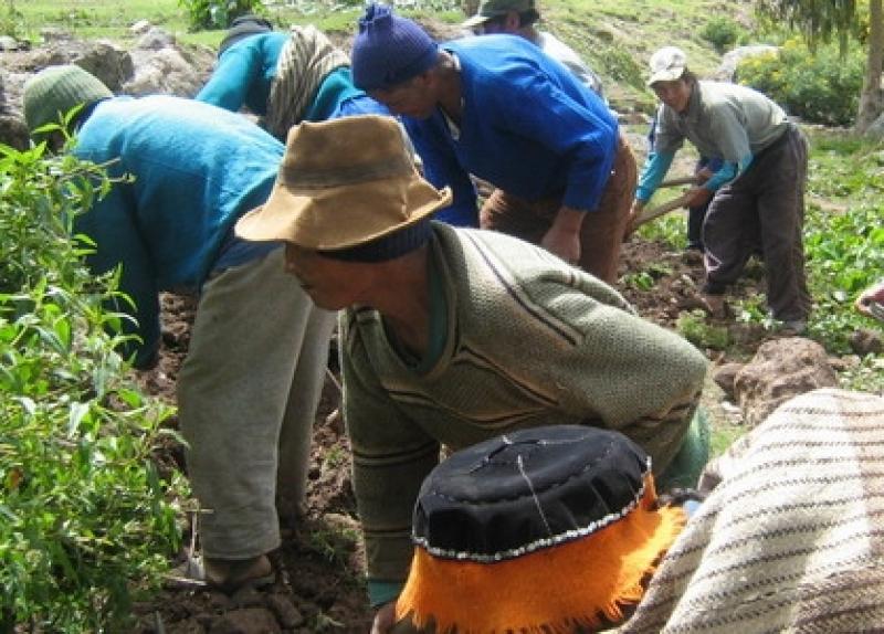 INDEMNIZACIÓN DEL SEGURO AGRARIO AUMENTA MÁS DE 60%