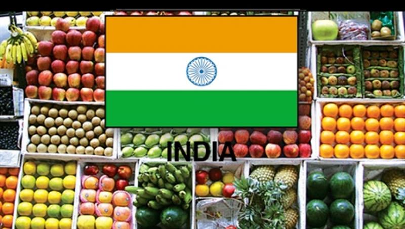 INDIA ES EL SEGUNDO MAYOR PRODUCTOR DE FRUTA DEL MUNDO