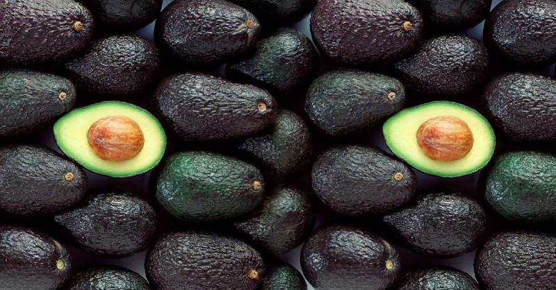 India: mercado estratégico para la palta