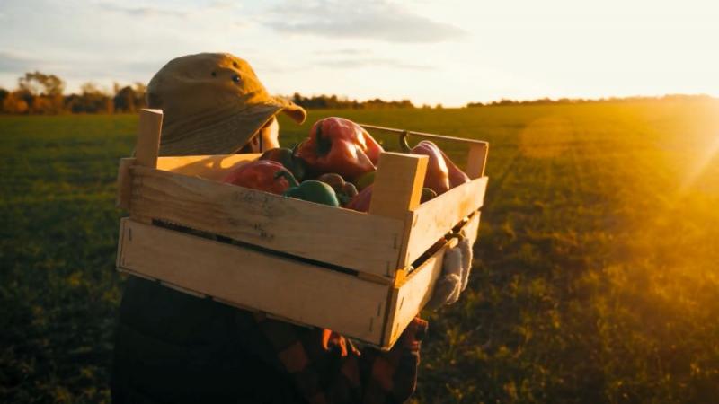 Industria agrícola crecería a una tasa anual de 5.14% hasta 2027