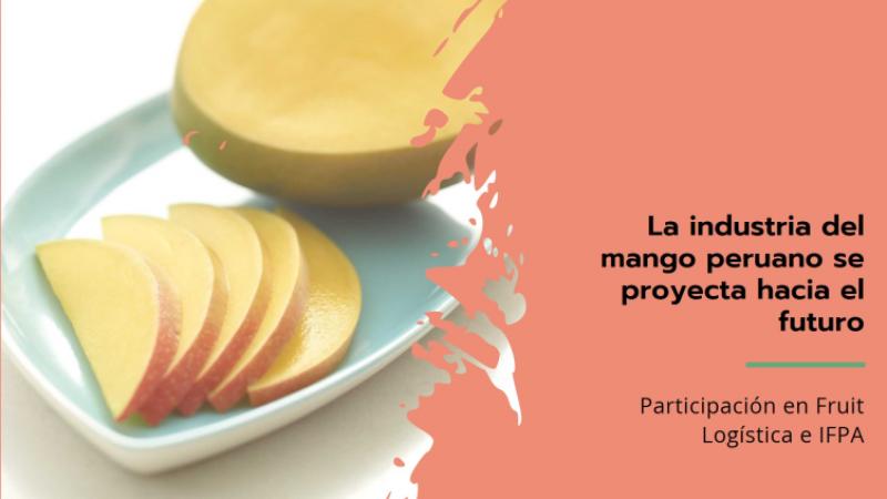 Industria peruana del mango afronta el 2025 proyectando su participación en Fruit Logística y en IFPA