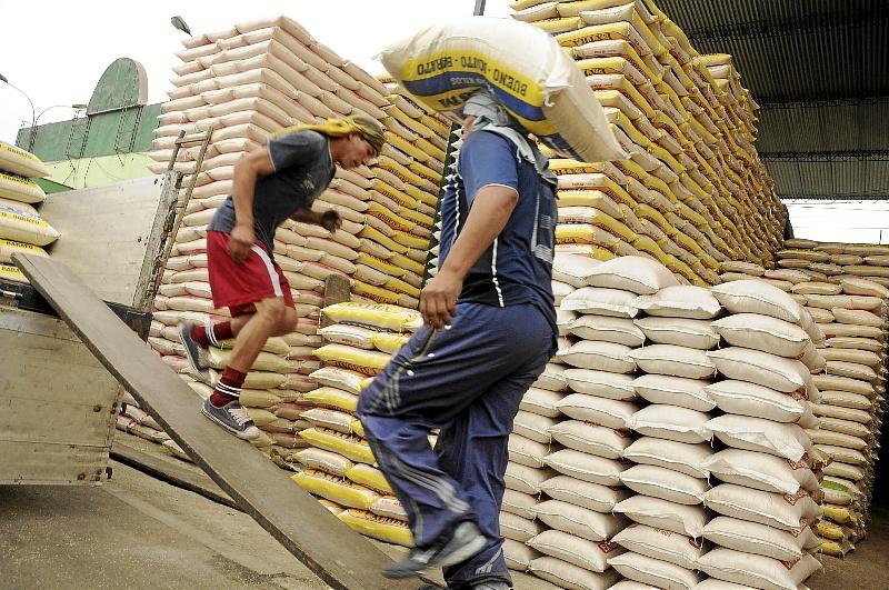 INGRESOS DE ARROZ A LA CAPITAL CAYERON 13% ENTRE ENERO Y AGOSTO