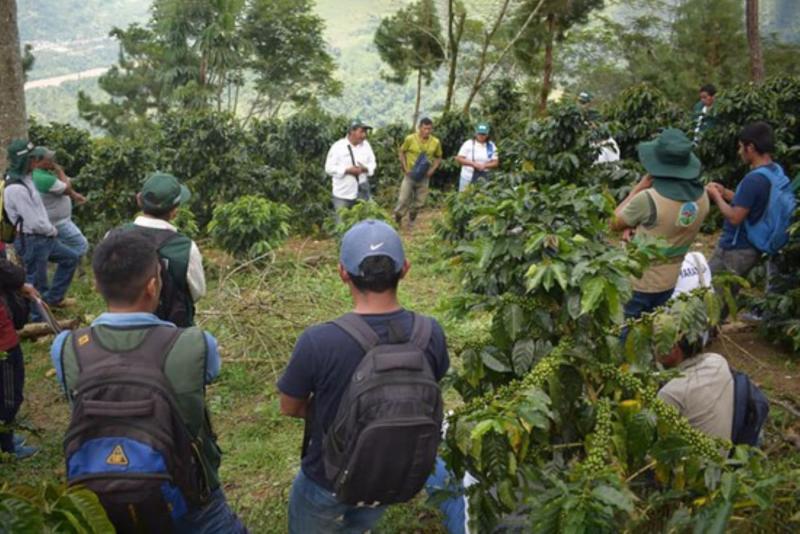 INIA capacita a cafetaleros del Vraem para garantizar calidad del grano