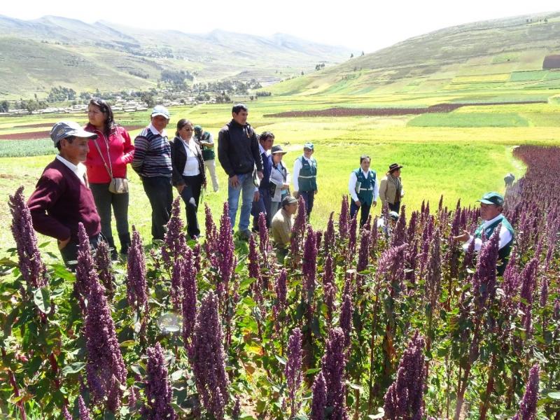 INIA capacitará a 400 pequeños agricultores de Junín