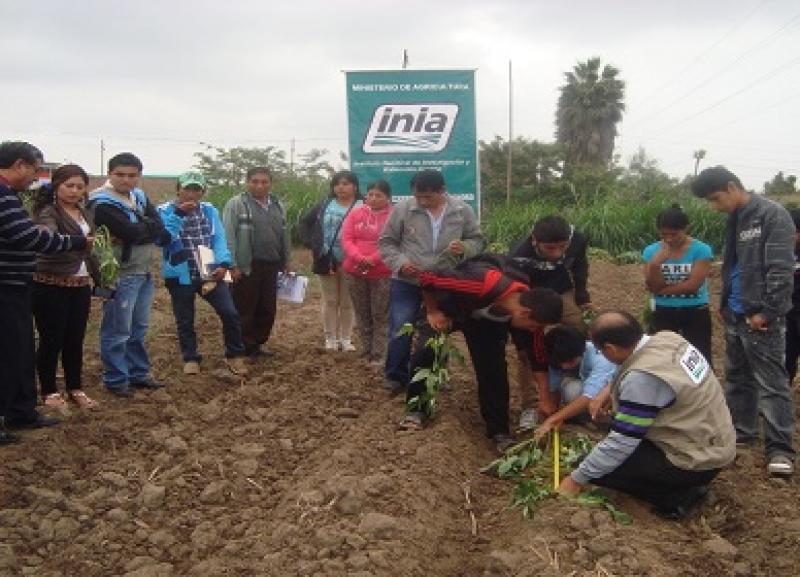 INIA CAPACITÓ A TÉCNICOS Y PRODUCTORES EN TECNOLOGÍAS DE PRODUCCIÓN AGRARIA