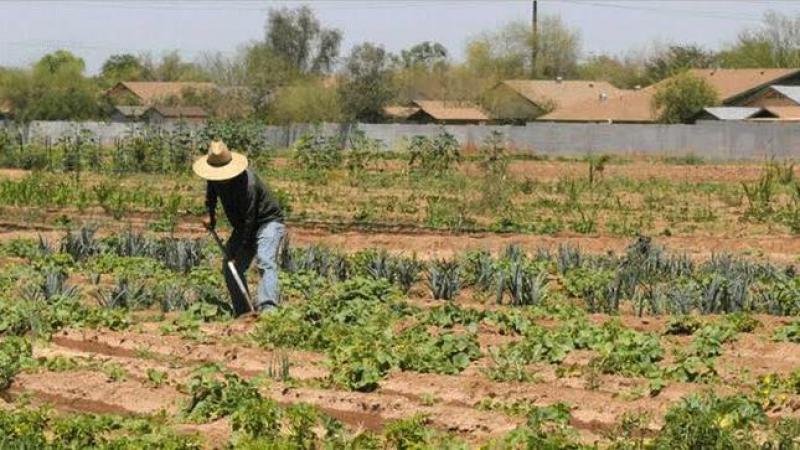 INIA lanzará la I Convención Internacional de Suelos con fines agrarios