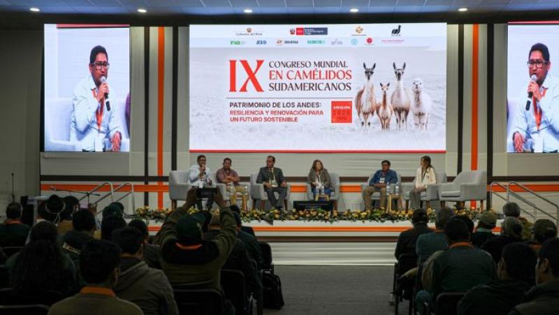 INIA presentó 17 investigaciones en Congreso Mundial de Camélidos Sudamericanos