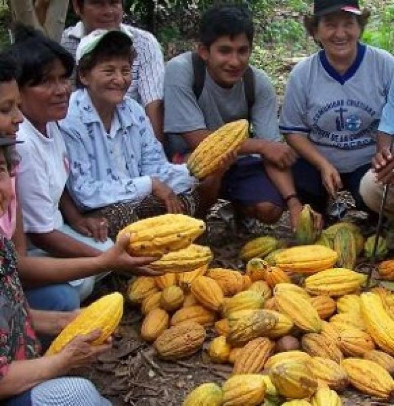 INIA, SENASA Y ALA POTENCIARÁN AGRICULTURA EN SAN MARTÍN