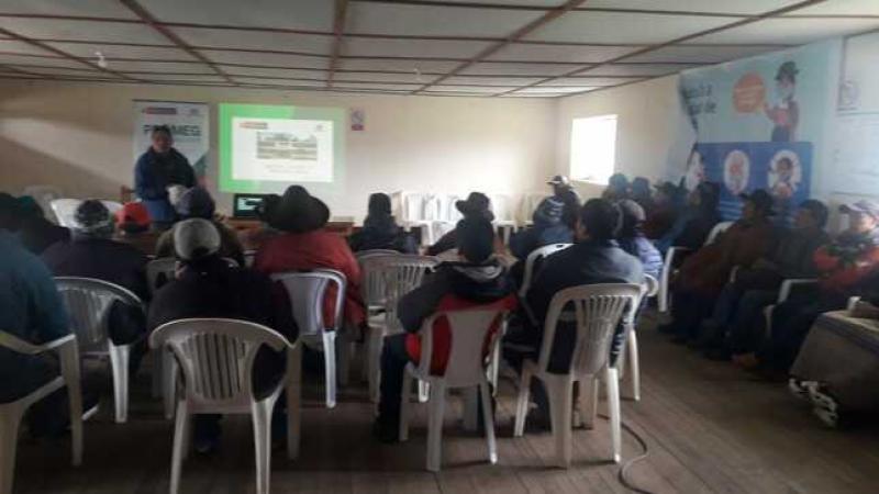 INIA transfiere embriones de ganado de alto valor a la comunidad campesina Llacuash