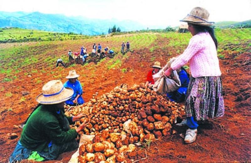INICIA CURSO PARA FORTALECER SEGUIRDAD ALIMENTARIA Y GESTIÓN TERRITORIAL