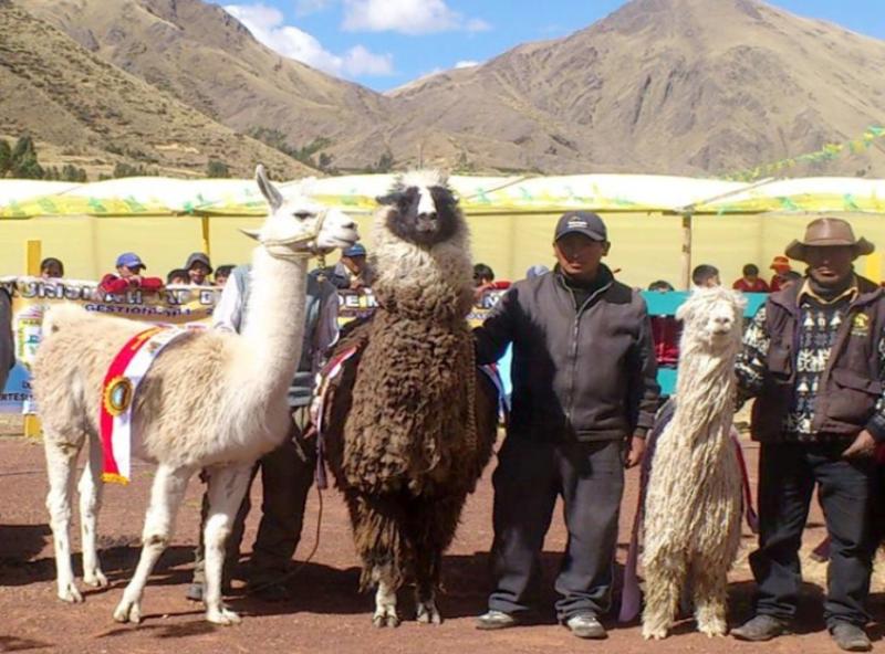 INICIA FERIA NACIONAL AGROPECUARIA “MESETA DEL BOMBÓN NINACACA 2015”