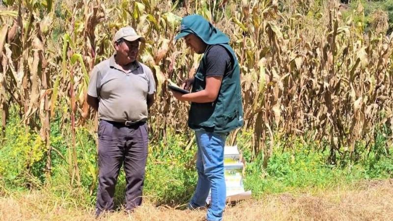 Inician la Encuesta Nacional de Intenciones de Siembra para la campaña agrícola 2026/2027